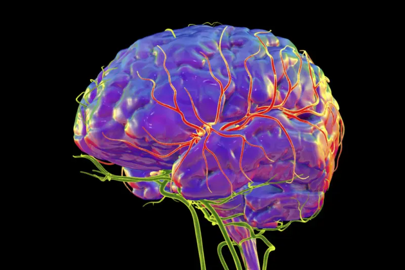 New Stroke Guideline Expands Treatment for Adults and Children