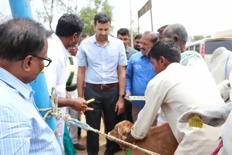 పాల ఉత్పతి లేకుంటే మనుగడ కష్టం..జిల్లా కలెక్టర్ ప్రతీక్ జైన్