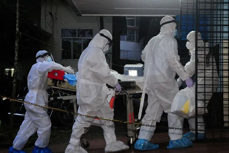 CG: दुर्ग जिले में अफ्रीकन स्वाइन फीवर' का कहर.., 83 सुअरों को मारकर दफनाया