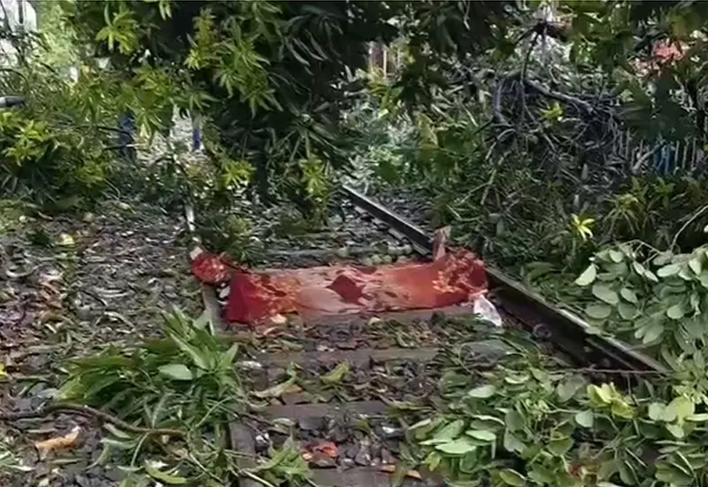 Weather West Bengal                                                                                    ঝড় বৃষ্টিতে বাধা স্বাভাবিক জনজীবন, মৃত ৭