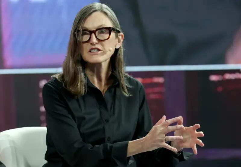 COIN, BMNR, HOOD Stocks Lead Losses Across Cathie Wood's ARK ETFs In Volatile Q4