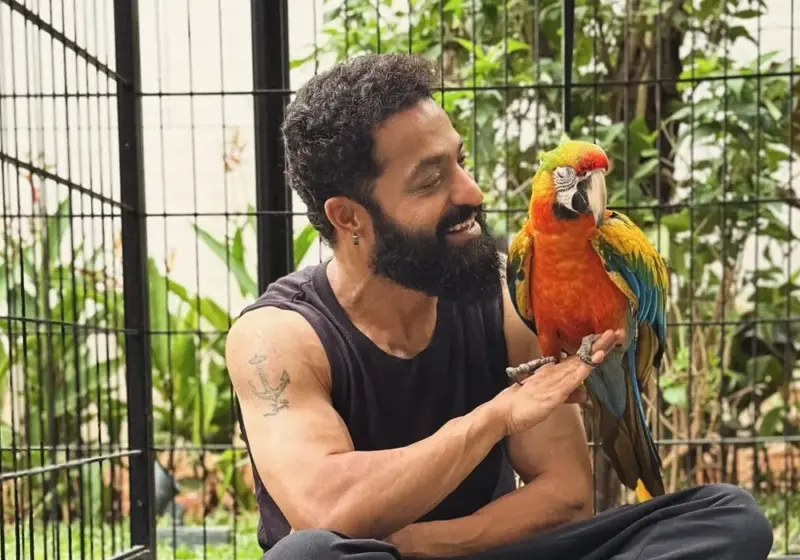 NTR ఎన్టీఆర్ కొత్త స్నేహితులు జపాన్‌పై తన ప్రేమను చాటుకున్న హీరో!