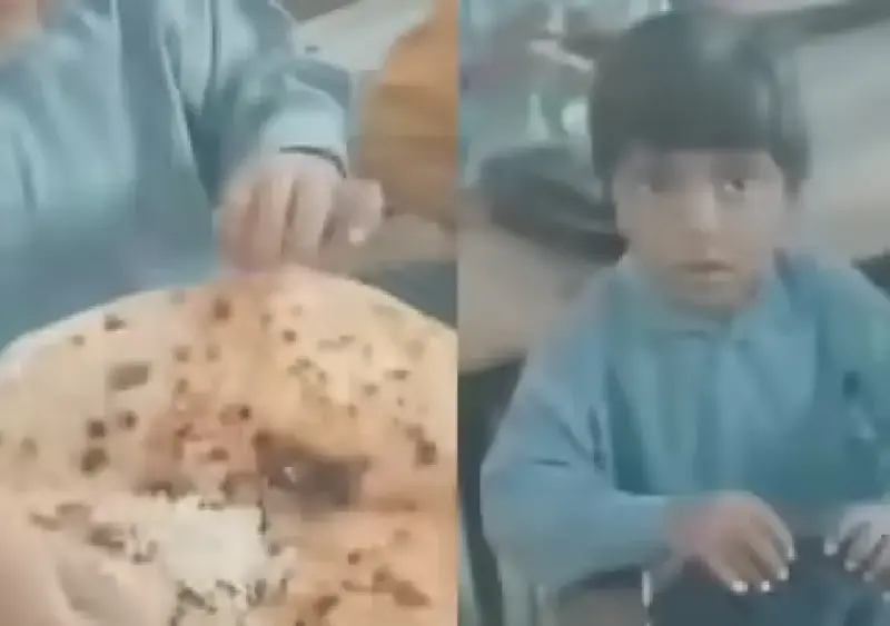 Teacher's kindness over simple lunch wins hearts online