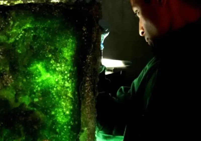 Indian Student at UCL Develops Groundbreaking Carbon-Sequestering Building Material