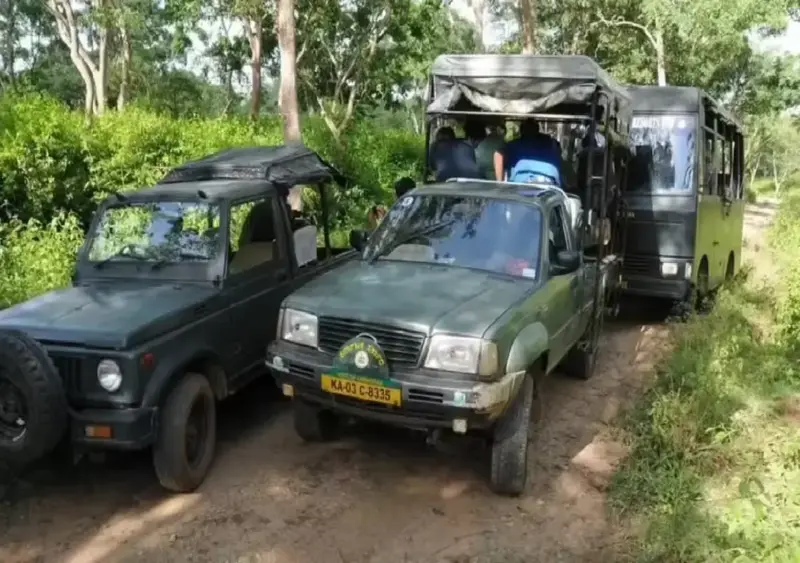 Tiger reserve safaris earn Rs 24 crore despite shutdown loss