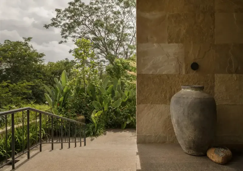 Bengaluru home built around stunning bonsai collection turns heads
