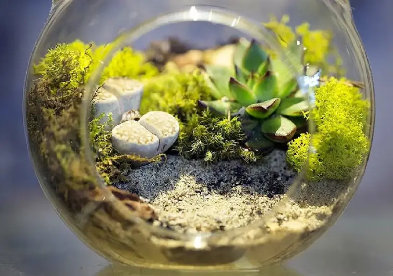 Laxmi Shenoy to lead Rainforest Jar workshop in Manipal