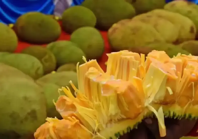 Jackfruit prices soar in Karnataka as urban demand rises