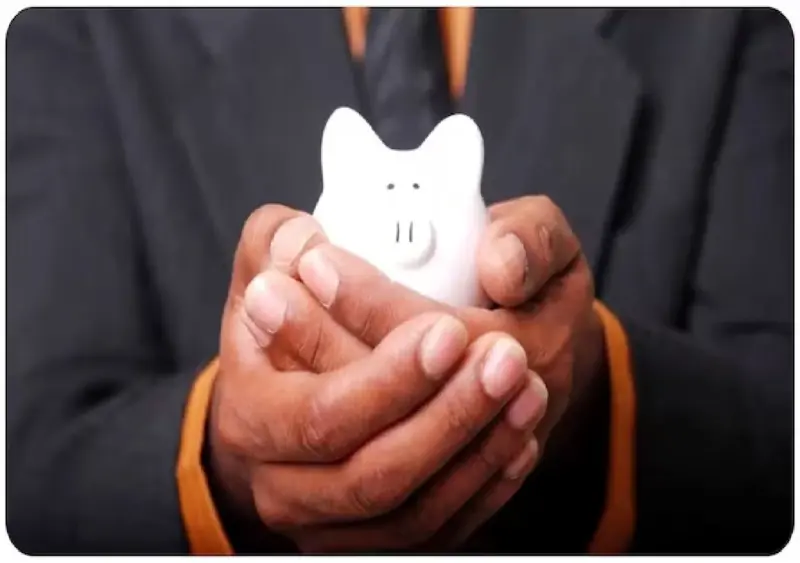 Check these 5 rules before investing in small savings