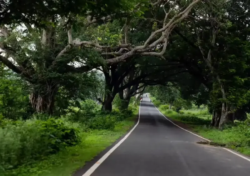 Gadkari orders monsoon readiness for Karnataka highways