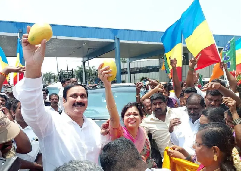 நாடாளுமன்றத் தேர்தலைத் தைரியமாக எதிர்கொள்வேன் - சௌமியா அன்புமணி