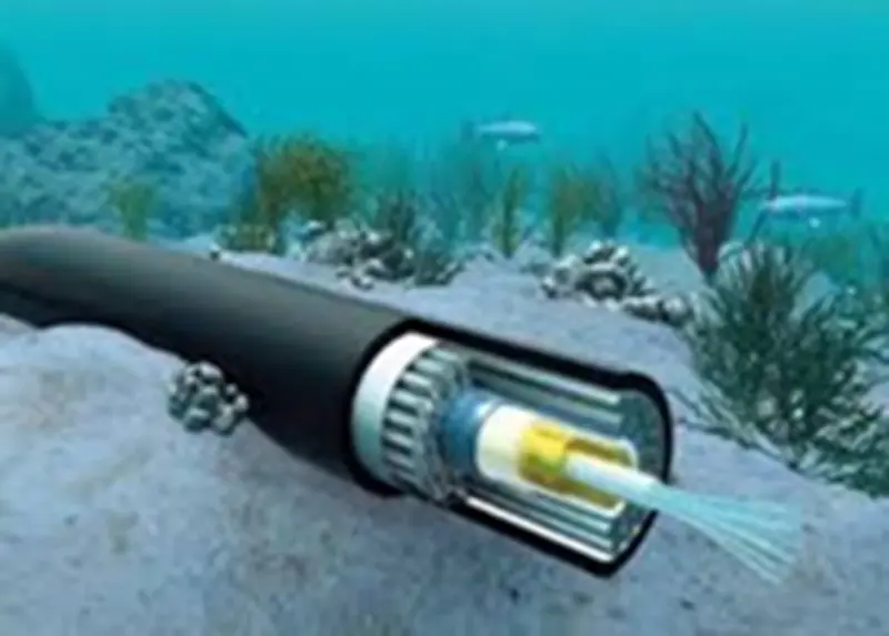 Internet travels from one country to another through undersea cables. Have you ever wondered how these wires are made?