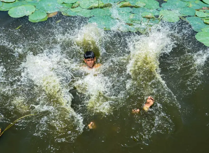 Heatwave grips north India as IMD warns of no immediate relief