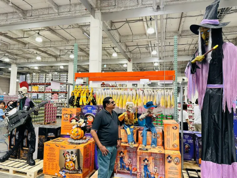 உதயசூரியன் நாடு: பகலில் தொடங்கிய ரவுண்டு!