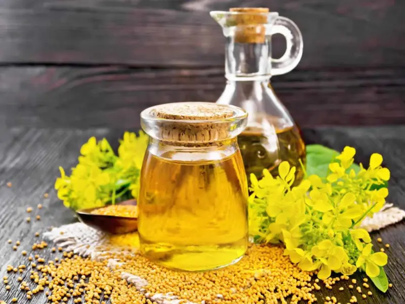 Mustard Oil For Grey Hair: நரை முடியை கருமையாக மாற்றும் கடுகு எண்ணெய். இப்படி யூஸ் பண்ணுங்க