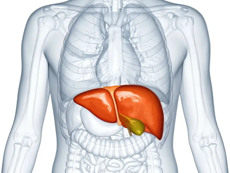 Is Black Coffee Good for Fatty Liver? Check Facts Here