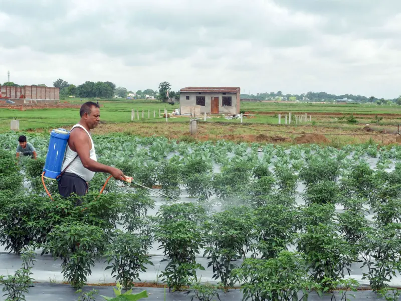 Below-normal monsoon and West Asia conflict cloud India's agriculture outlook: BoB