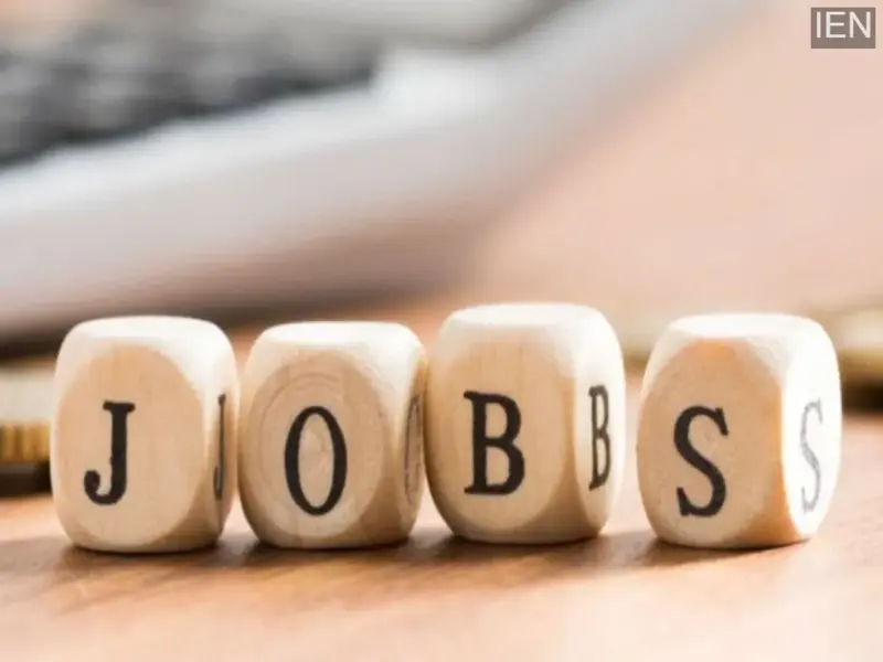 Recruitment Announced for Officer Posts at Punjab National Bank: Check Eligibility Criteria
