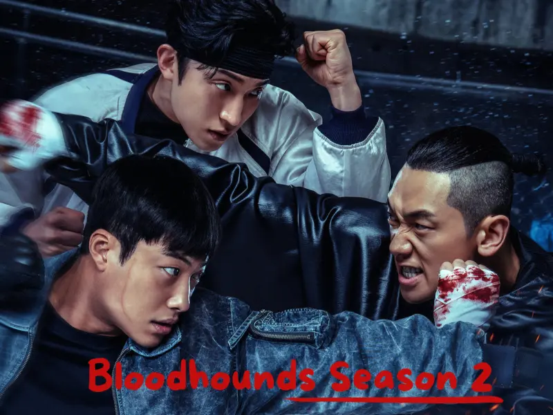 Bloodhounds Season 2: Check Release Date, Review, All Episodes, Cast, Plot & Streaming Platforms - What to Expect