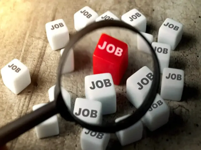 NIC Recruitment 2026: Apply for Scientist Positions with 153 Vacancies