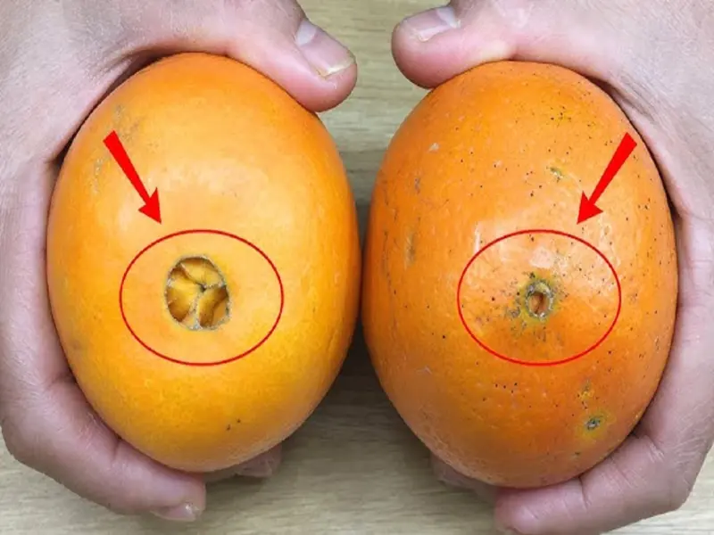 How to Pick Sweet Oranges: Simple Tips to Identify Fresh and Juicy Fruits