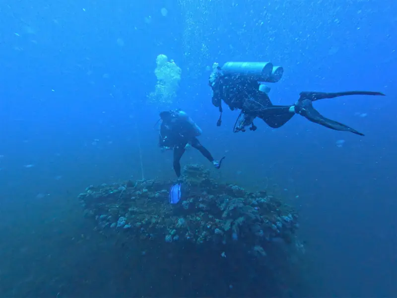 Indian, Sri Lankan navies deepen maritime cooperation with diving drills, joint activities in Colombo