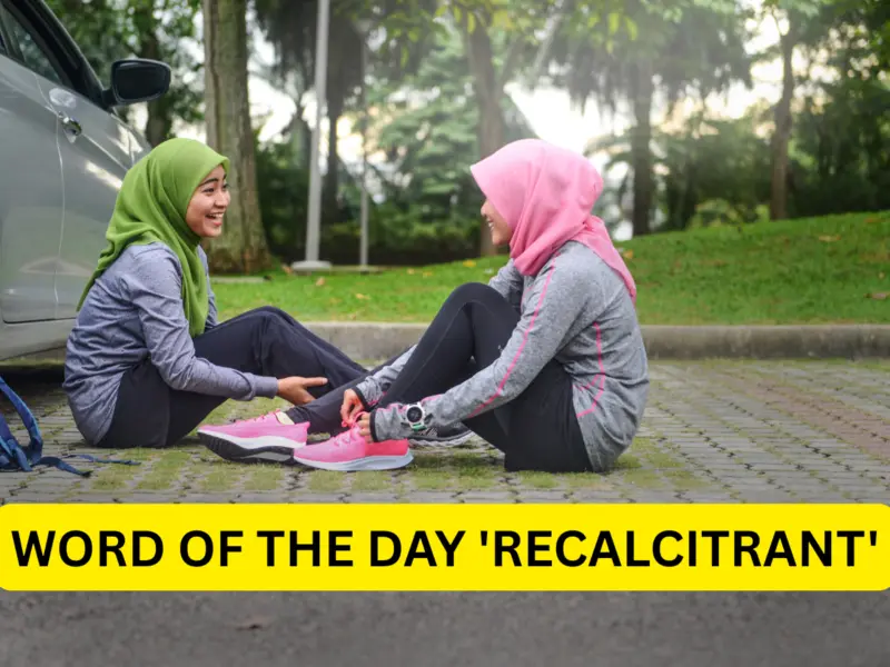 Word of the Day 'Recalcitrant': Know About Meaning, Origin, Phonetic, IPA & More