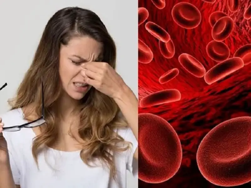 Health Tips- शरीर में खून की कमी होने पर दिखाई देते हैं ये लक्षण, जानिए पूरी डिटेल्स