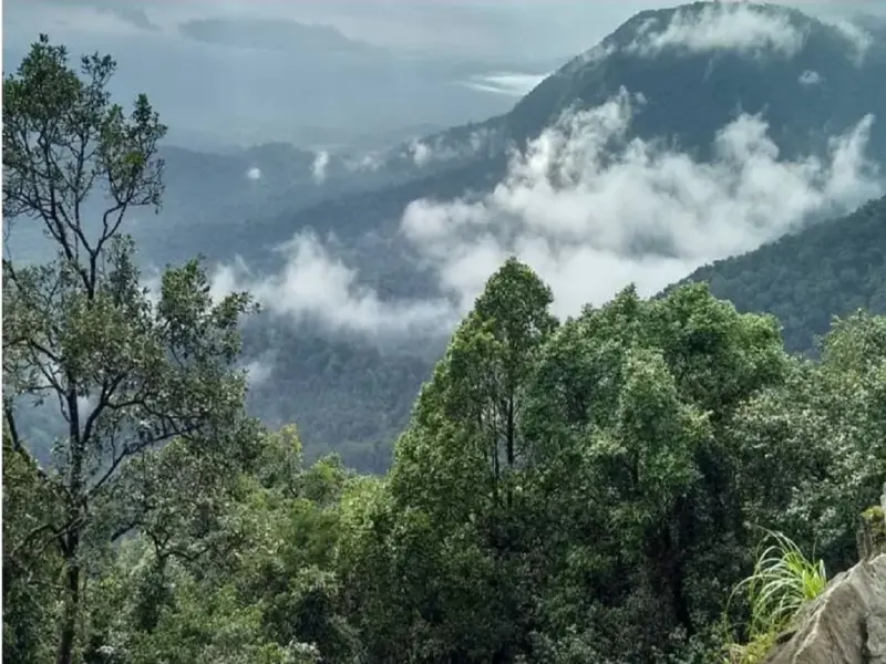 'Cherrapunji of South India': Explore Agumbe - A Hidden Paradise of Clouds and Greenery