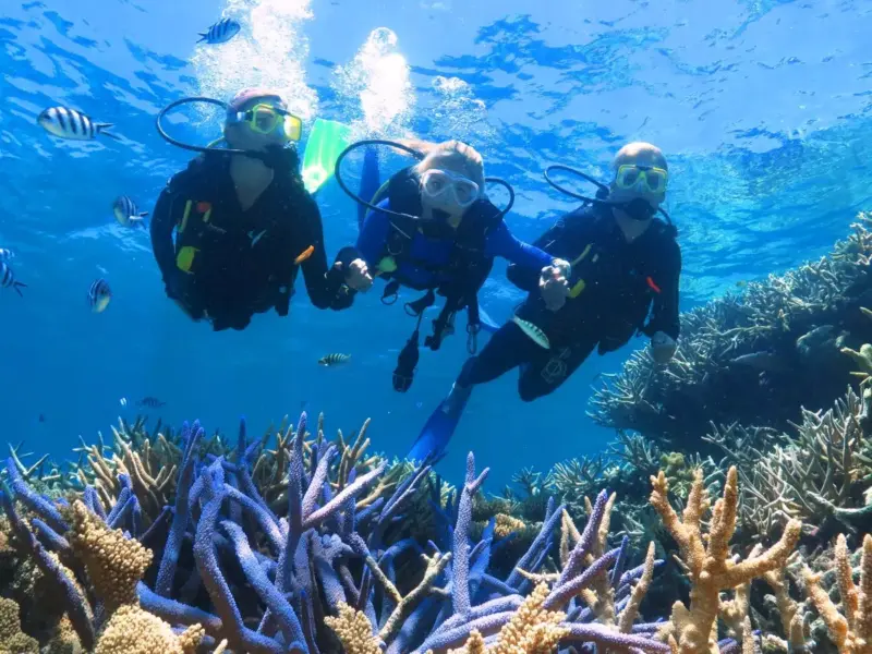 How to enjoy Australia's wondrous Great Barrier Reef as a non-swimmer