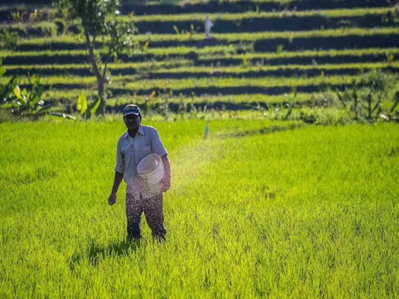 Great News: The 23rd installment of the PM Kisan Samman Nidhi Scheme will be released this month..