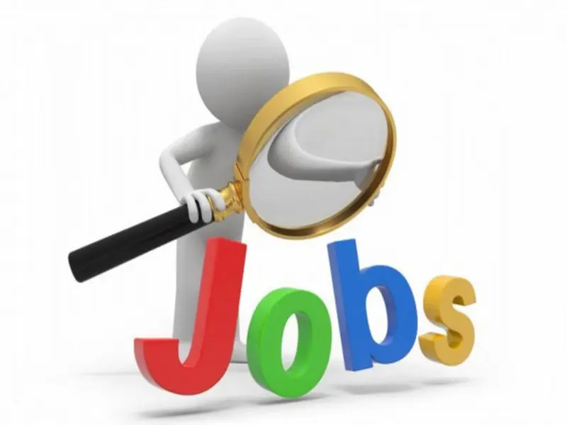DSSSB Recruitment 2026: 1,979 Jobs for Group B and C Posts in Delhi; DSSSB Releases Notification..