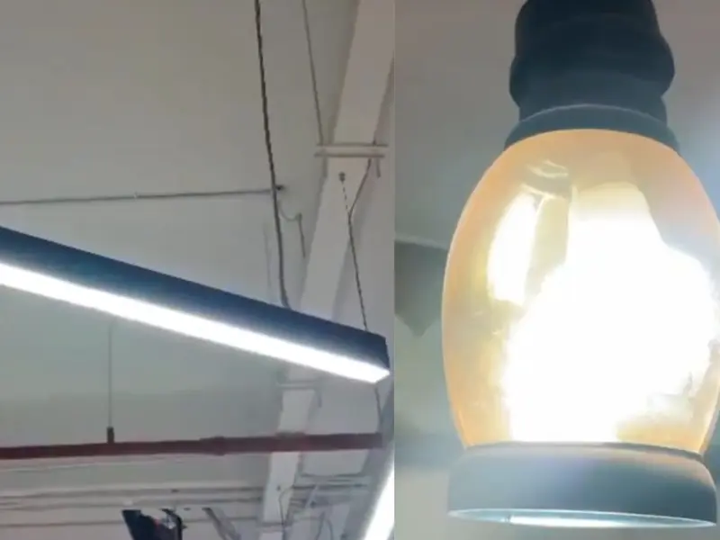 WATCH: 5.9 Magnitude Earthquake Rocks Delhi-NCR; Powerful Tremors Trigger Panic As Residents Rush Outdoors In Fear