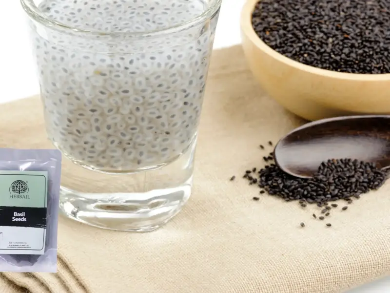 Sabja Seeds: Start Drinking This Water Before Summer, Protect Yourself from Heat Stroke and Boost Immunity