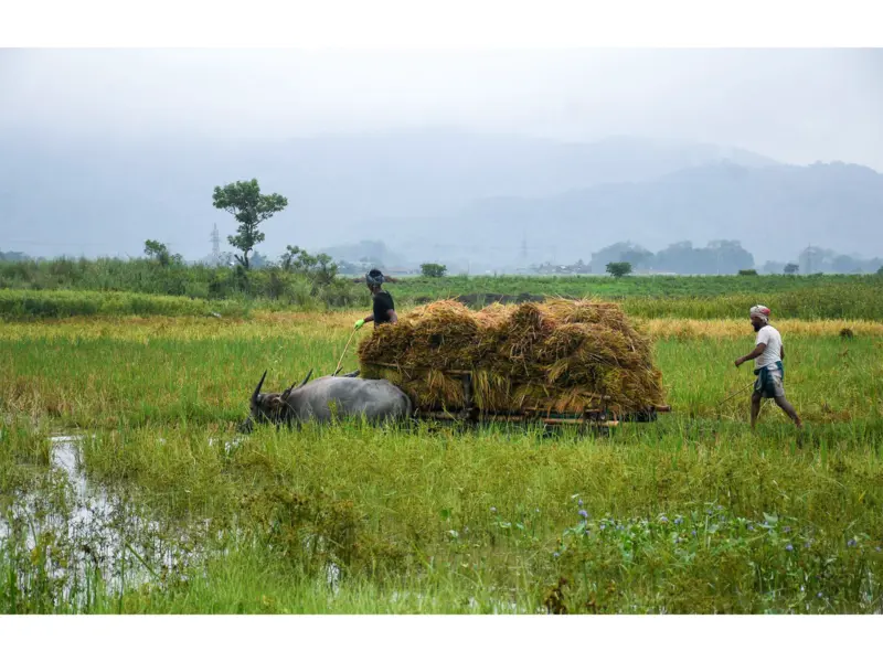 Delhi issues preliminary notification for land acquisition in Palam village