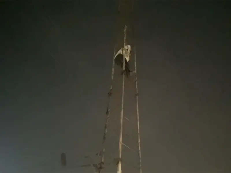 Junior engineer climbs mobile tower in Prayagraj demanding suspension revocation