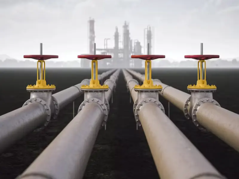 Government ramps up PNG rollout with 4.15 lakh new connections as fertiliser gas allocation raised to 95%