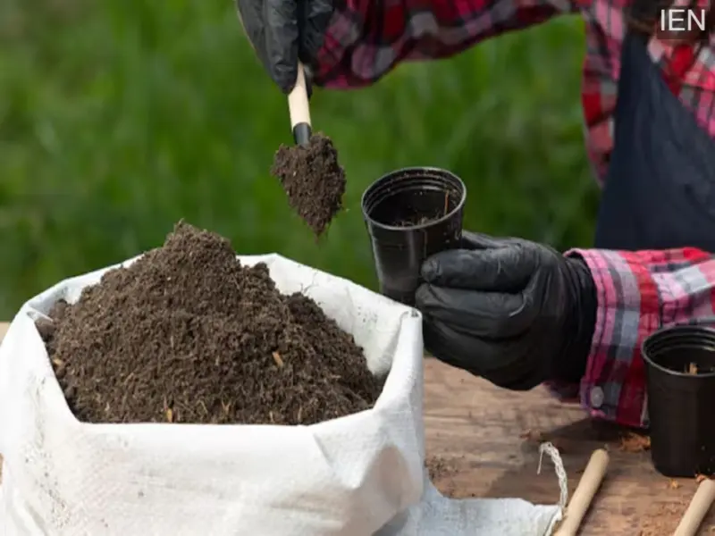 Government Statement on Fertilizer Shortage: Stock Ready for the Kharif Season