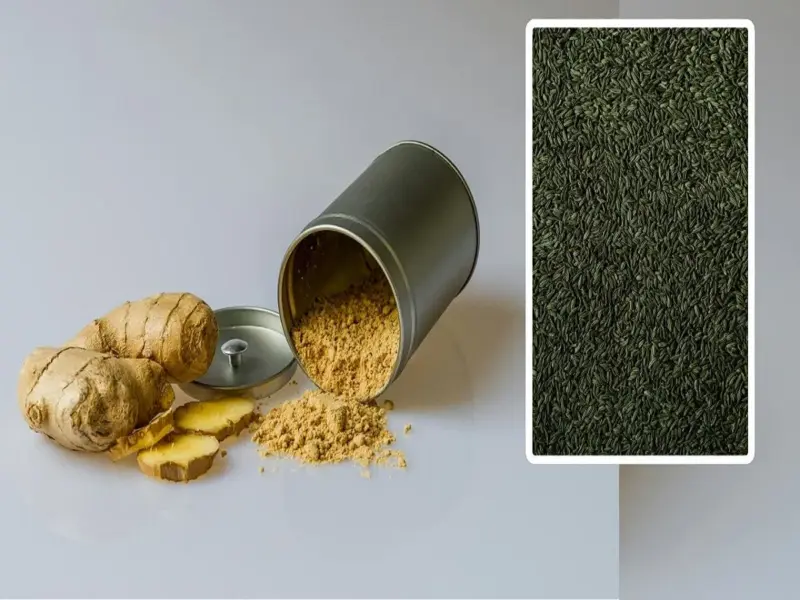 Summer Health Drink: Fennel Powder for a Naturally Cool and Healthy Digestive System