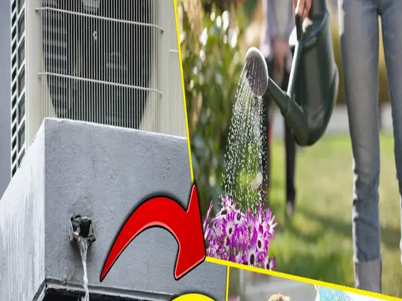 AC Water Isn't Waste: Smart Ways to Reuse It at Home This Summer
