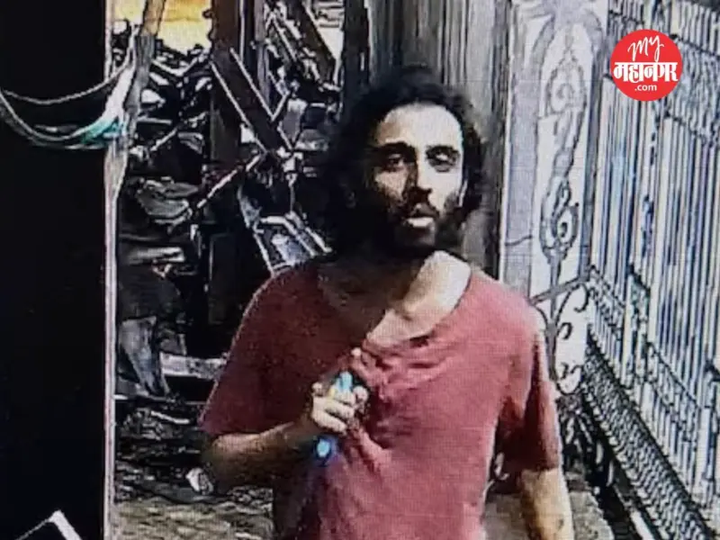 Mira Road Lone Wolf Attack : अन्सारीला अफगाण वंशाच्या पूर्वाश्रमीच्या पत्नीने कट्टर बनवले, ATS ला संशय
