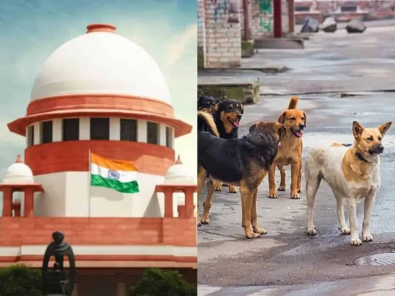 అవసరమైతే కారుణ్య మరణం. కుక్కల దాడిపై సంచలన తీర్పు!