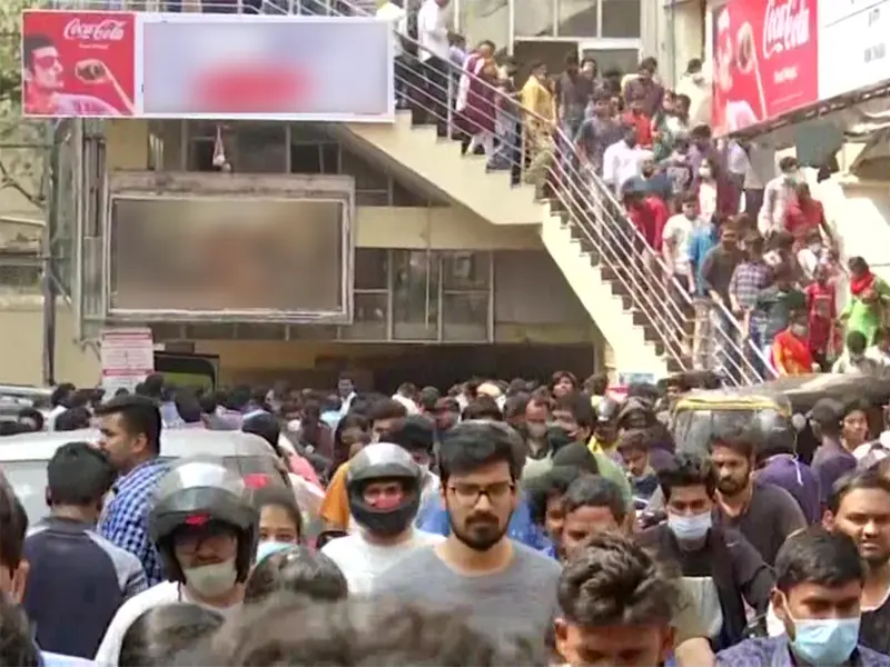 Stree 2, Kalki, & Animal: Not Real Blockbusters?