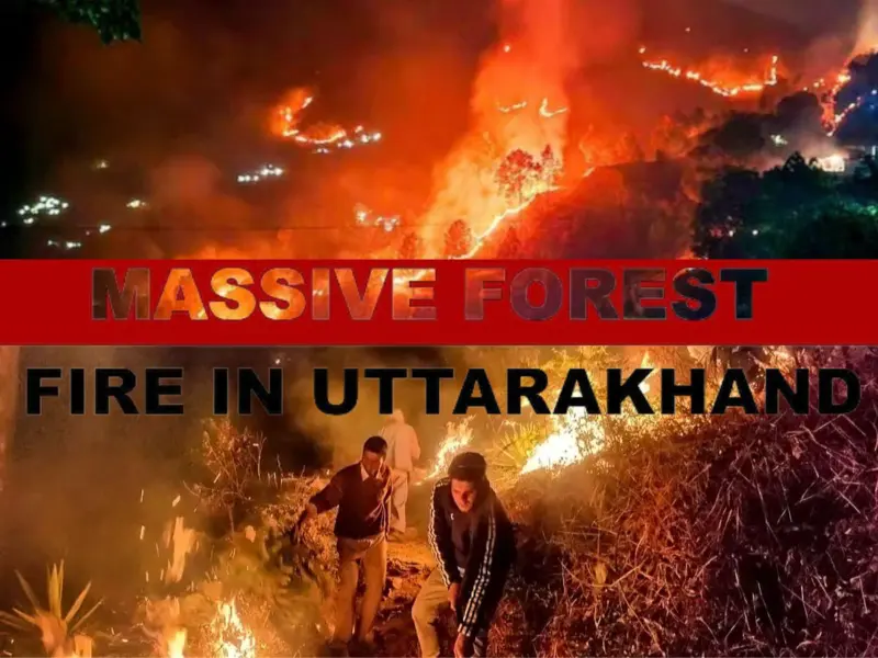 Uttarakhand: Massive Forest Fire Affects Over 14 Hectares in Tehri Garhwal