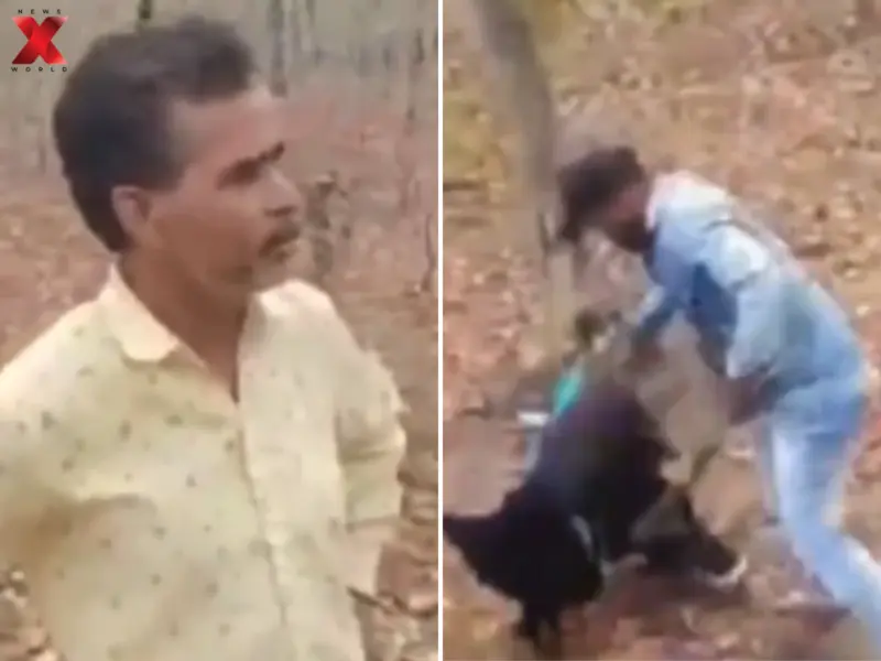 Viral Video: Suspicious Brother Catches Sister In A Compromising Position With Maternal Uncle Deep In A Jungle, Abuses Her, Beats Up Uncle: 'Tune Dhokha Diya'
