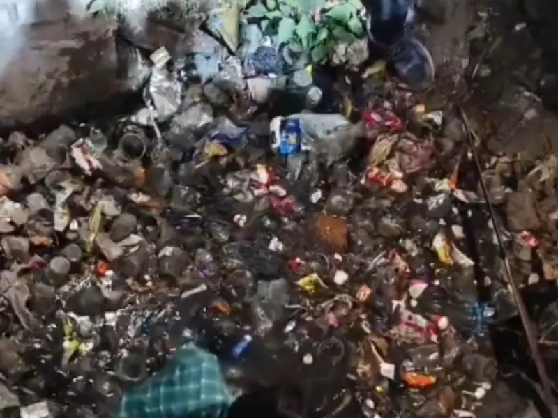 UP Wedding Chaos: Groom's Cousin Jumps Into Drain To Retrieve His New iPhone 17, Viral Video Leaves Guests Stunned