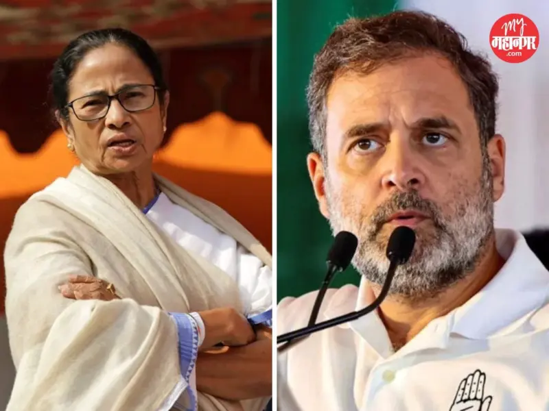 Rahul Gandhi : TMC च्या पराभवावर आनंद व्यक्त करणाऱ्या Congress नेत्यांना राहुल गांधींनी झापलं, म्हणाले, या लोकांनी.