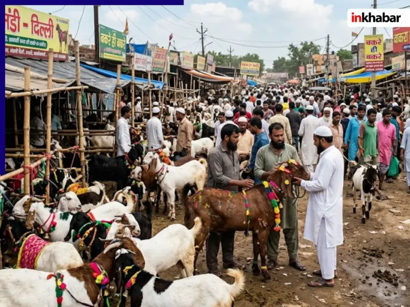 Bakra Mandi Rates 2026: 5 हजार से 5 लाख तक! बकरीद से पहले बकरों की कीमतों ने मचाया तहलका; जानें अपने शहर के दाम
