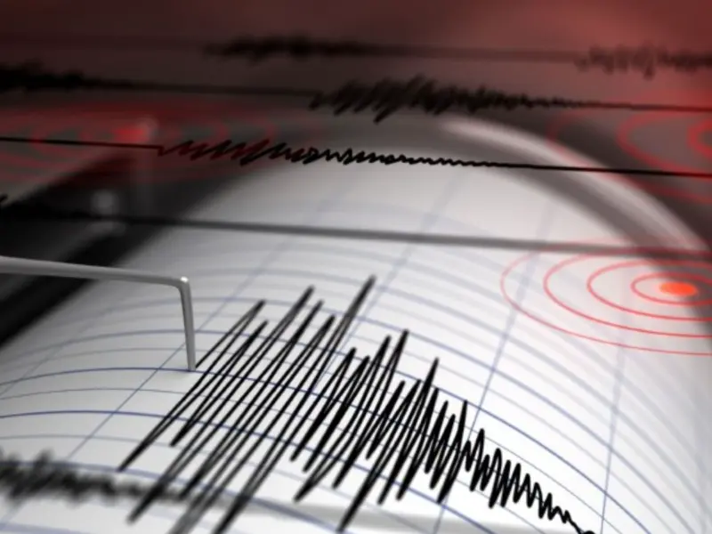 Powerful 7.6 Magnitude Earthquake Hits Indonesia's Molucca Sea, Are There Any Tsunami Alerts?