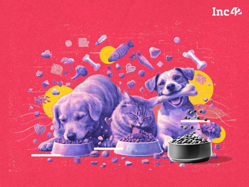 Gourmet On The Pet Plate